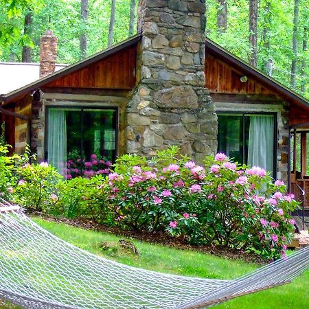 Asheville Cabins Of Willow Winds 外观 照片
