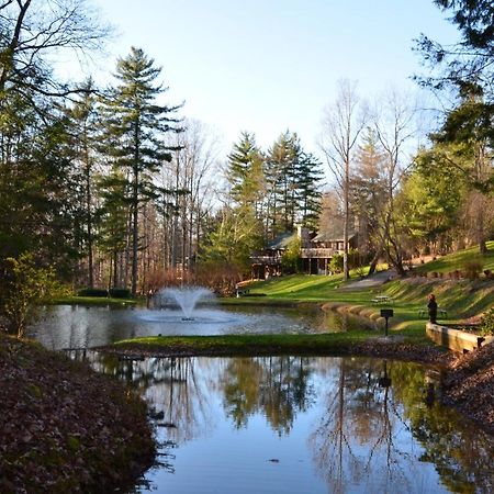 Asheville Cabins Of Willow Winds 外观 照片
