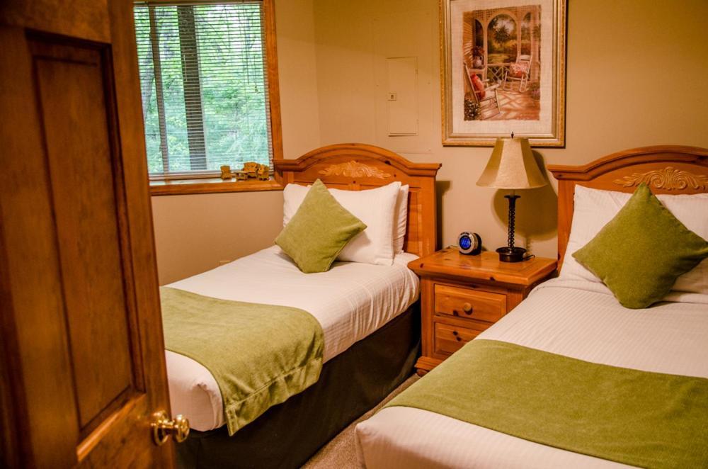 Asheville Cabins Of Willow Winds 外观 照片